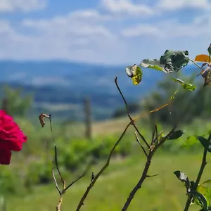 Il Nido Apartamento